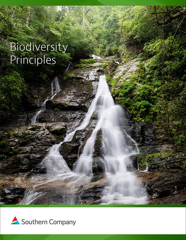 Biodiversity Principles report