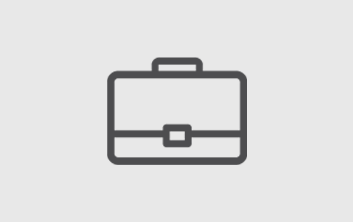 Icon for Professional section - icon is a briefcase graphic