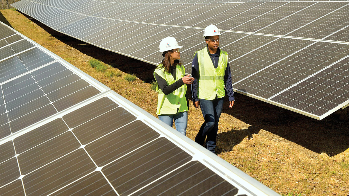 workers in solar field