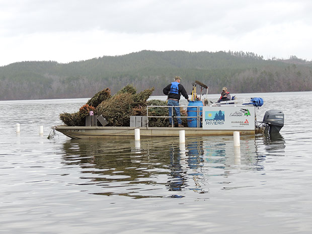 Fish Habitat Program boat filled with old Christmas trees