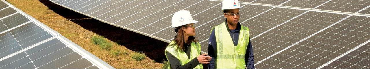 Solar field and wind farm