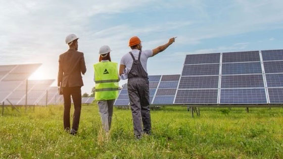 Solar panel specialists walking through solar field