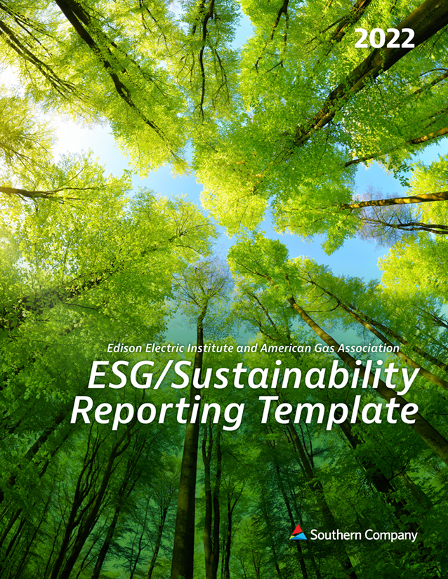 EEI ESG Sustainabilty Reporting Template