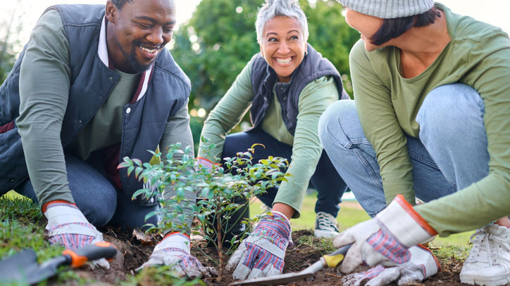 People smiling and planting trees