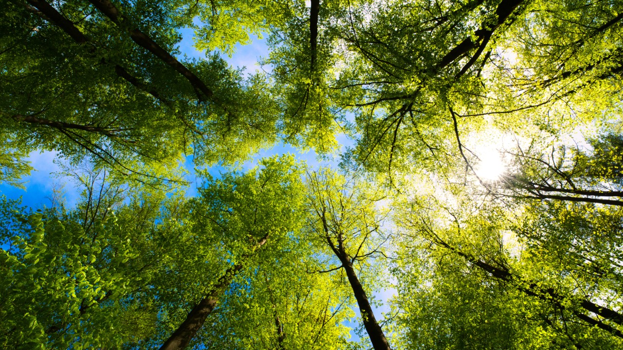 2023 Sustainability Summary