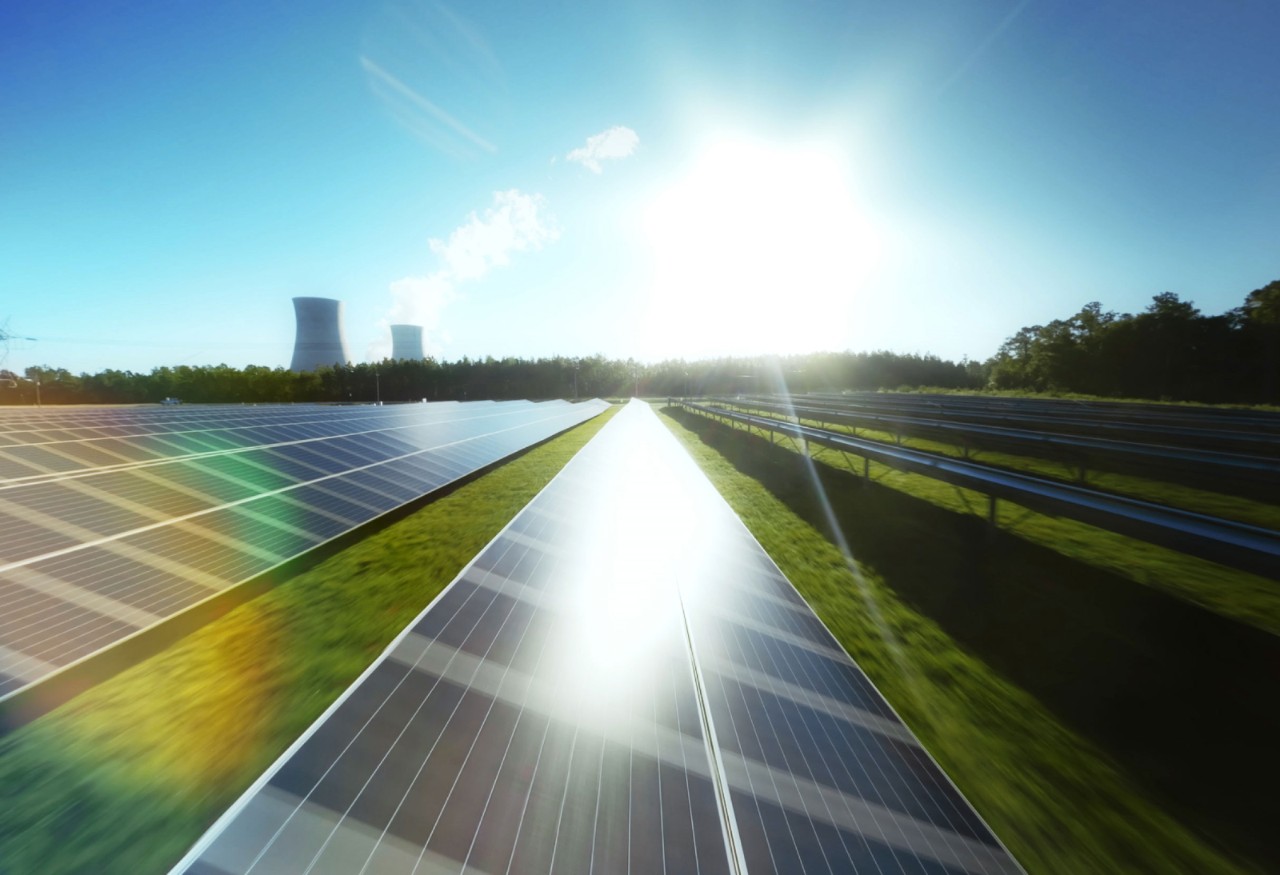 Solar field at Plant Vogtle