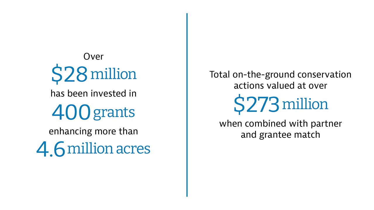 corporate environmental stewardship